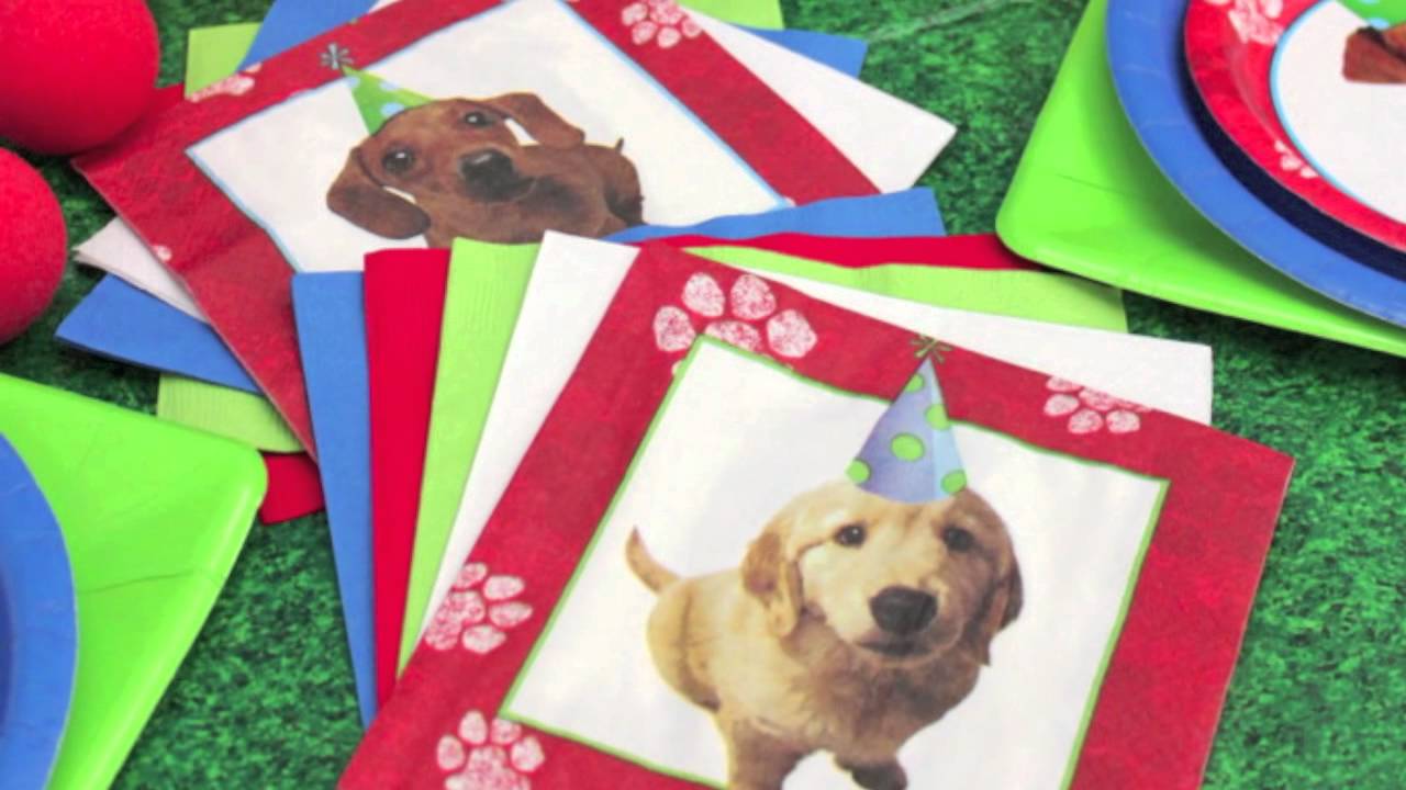 Dog Party Supplies YouTube