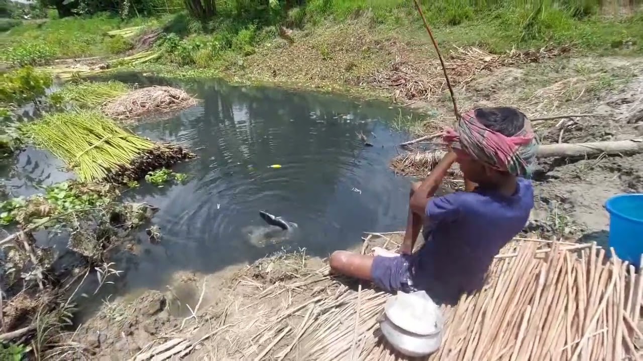 Top  Baits That Fish Can’t Resist