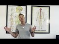 Why Should I Continue to See the Chiropractor on a Maintenance Basis once Stabilized?