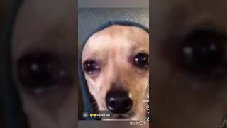 Böyle Şeyler Paylaşmam Normalde Ama Keşfetti Açıyormuş