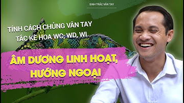 SINH TRẮC VÂN TAY -TRẺ CHỦNG TẮC KÈ HOA WD/WI/WC - ĐẦU TƯ HỌC TẬP NHƯ THẾ NÀO? l NGUYỄN NINH