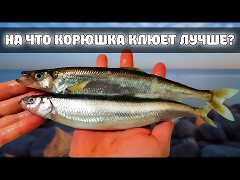 На что корюшка клюет лучше? ЭКСПЕРИМЕНТ.