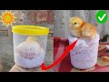 How to hatch eggs at home without incubator  amazing eggs hatching without incubator