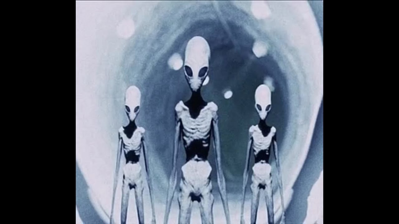 [FREE FOR PROFIT] LOCKED IN x TREKKRRHOLYMOUNTAIN x OPIUM BIRD TYPE BEAT ~ ALIEN$