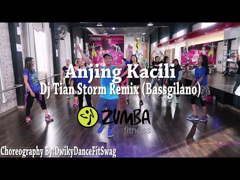Anjing Kacili Remix  By Tian Storm (Bassgilano) (Choreography) | At BFS Studio (Zumba)