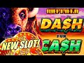 New buffalo dash for cash  best buffalo game yet slot machine aristocrat gaming