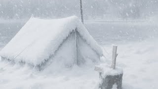 I Survived Worst Blizzard Camping Experience And Learned Expert Winter Tent Setup Secrets