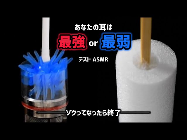 あなたの耳は 最強 or 最弱 テストASMR  【ゾクってなったら終了】 #2 