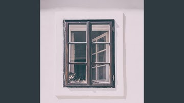 Subdued Ambiance for Kittens and Rest