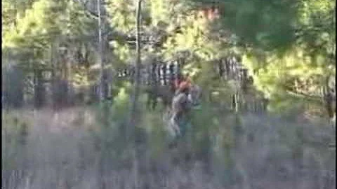 AA Quail Hunting with Pointers and Setters