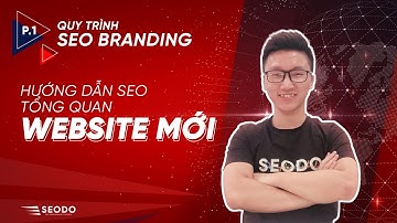 Quy trình SEO Branding - Hướng dẫn SEO tổng quan cho Website mới