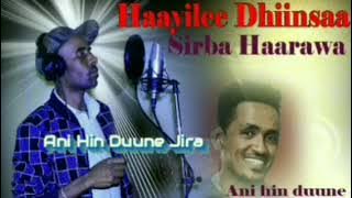 An Hin Duune, Jira Haayilee Dhinsaa New Oromo Song 2021 Wallee Oromoo Haarawa