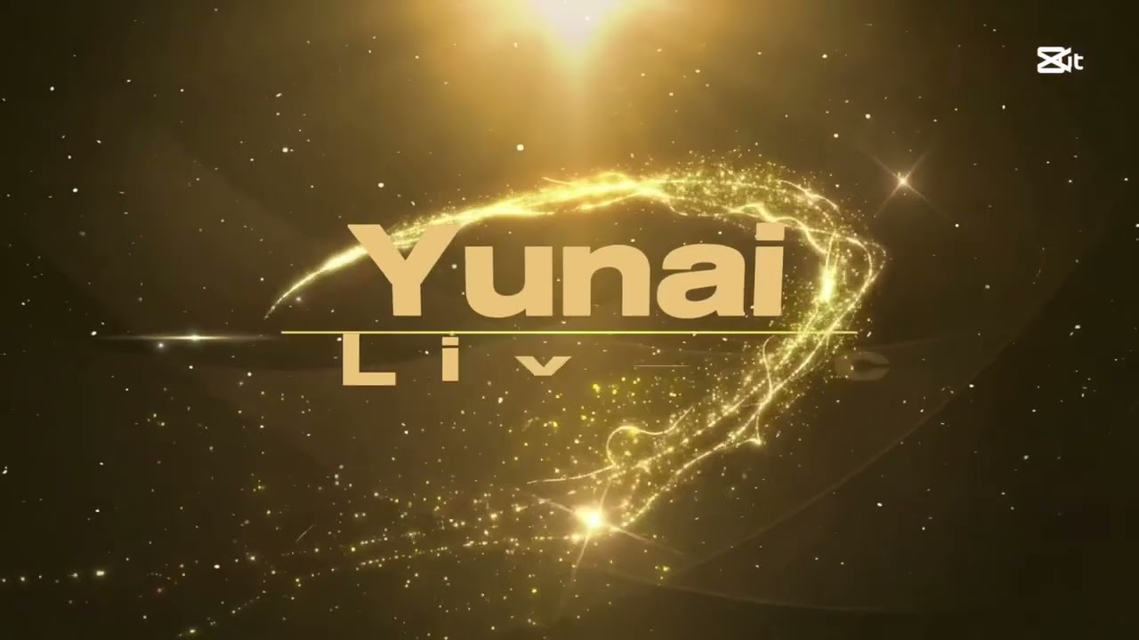 YUNAI OFFICAL CONCERT INTRO