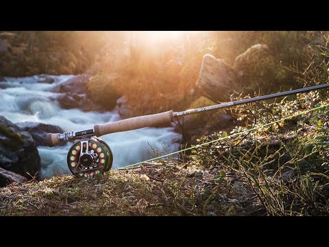 Brand New Evotec
