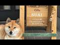 Guesthouse Gifu SUAI | Gifu, Japan | Hotel Review ⭐