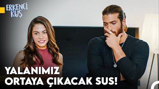 Sanemin Aşkı Bulma Yolculuğu - Erkenci Kuş