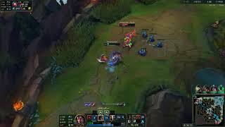 NEEKO BUG