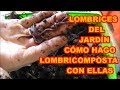 LOMBRICES, CÓMO ATRAPO DE MI JARDÍN Y HAGO LOMBRICOMPOSTAJE