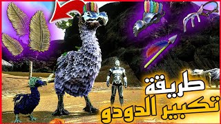 أرك موبايل كيفية تكبير دودو + الحصول على ريش دودو ark survival evolved screenshot 2