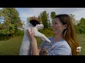 Awww-some Rescue Stories from Puppy Bowl 2026! | Puppy Bowl | Animal Planet
