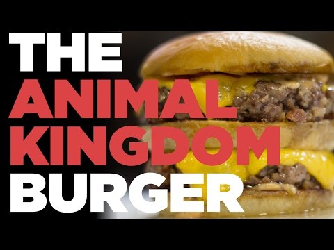 THE ANIMAL KINGDOM