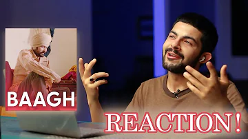 Pakistani Reaction on Punjabi Song BAAGH | AMRINDER GILL | BIR SINGH | LOWKEY