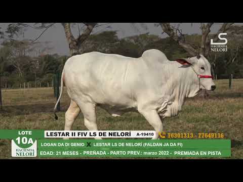 Lote 10A Lestar II FIV LS