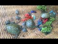 Amazing hunting Caught beautiful Halfmoon Betta, Turlte,  Soft-Shelled Turtle and Loster