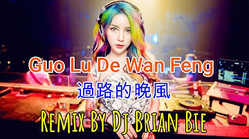 Guo Lu De Wan Feng - 過路的晚風(Electro Manyao) By Dj Brian Bie #dj抖音版2023