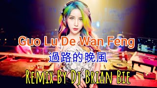 Video thumbnail of "Guo Lu De Wan Feng - 過路的晚風(Electro Manyao) By Dj Brian Bie #dj抖音版2023"