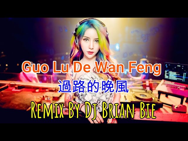Guo Lu De Wan Feng - 過路的晚風(Electro Manyao) By Dj Brian Bie #dj抖音版2023 class=