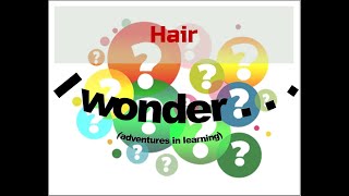 Hair (I wonder . . .) Adventures in learning - multifaceted, educational, fun!