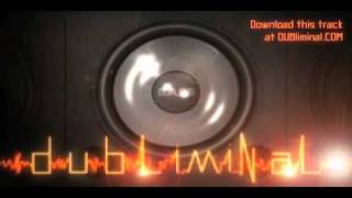 Download Deftones- Prince (Bassnectar Remix)