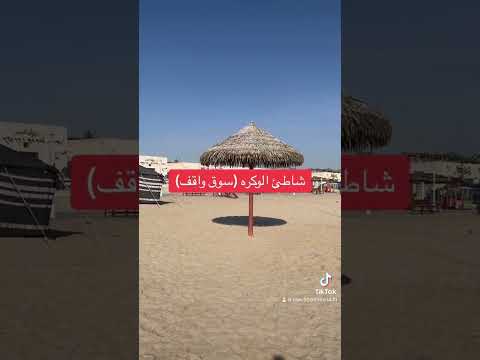 ٢٩ ديسمبر ٢٠٢٤