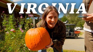 картинка: Лучшее осеннее путешествие по Северной Вирджинии 🍁🎃 | Тыквы, милые деревни и еда!