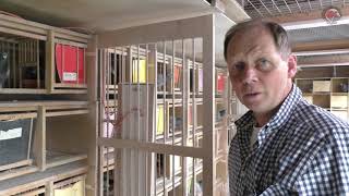 Download Lagu SG Hermann + Philipp Kallen - Ein Besuch auf der Tauben-Ranch 2017 (Klaus Profiliga) MP3