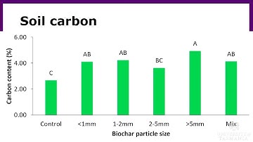 Jarrod Hamilton Honours Seminar