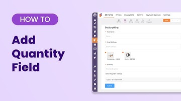 Item Quantity Field in Paymattic (All You Need To Know) | WordPress Payment Plugin in 2024