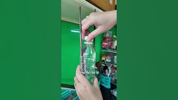 Mẹo tưới cây khi vắng nhà nhiều ngày - Tips for watering plant