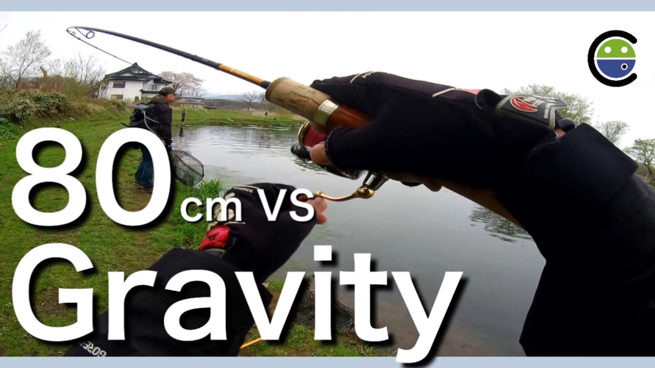 80cm級のニジマス VS 大活躍グラビティ【エリアトラウト】【管理釣り場】【ユーランド清水川】