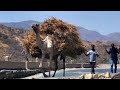 Midrin Semayn Mehari Eyassu New Instrumental Music 2024 Midrin Semayn Mehari Eyassu New Instrumental Music 2024