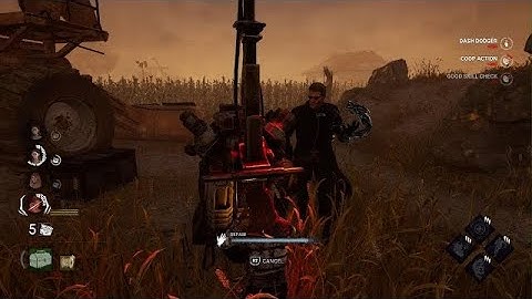 Racing Bug Again | Not A Bug, Feature (c)