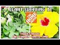 Plant Shopping at Home Depot Big Box Store || FULLY STOCKED || FULL GARDEN CENTER TOUR