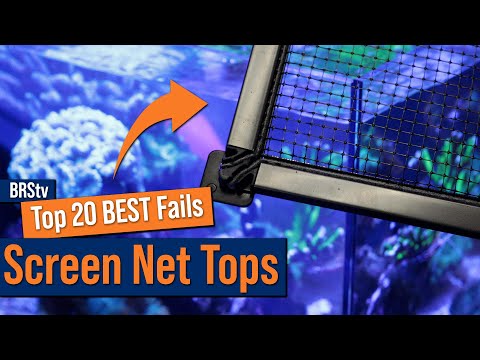 Hassle-Free Screen Top For Your Saltwater Tank. Ditch the Learning Curve u0026 Learn From Our Failures!