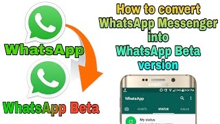 How to convert WhatsApp Messenger into WhatsApp Beta version screenshot 4
