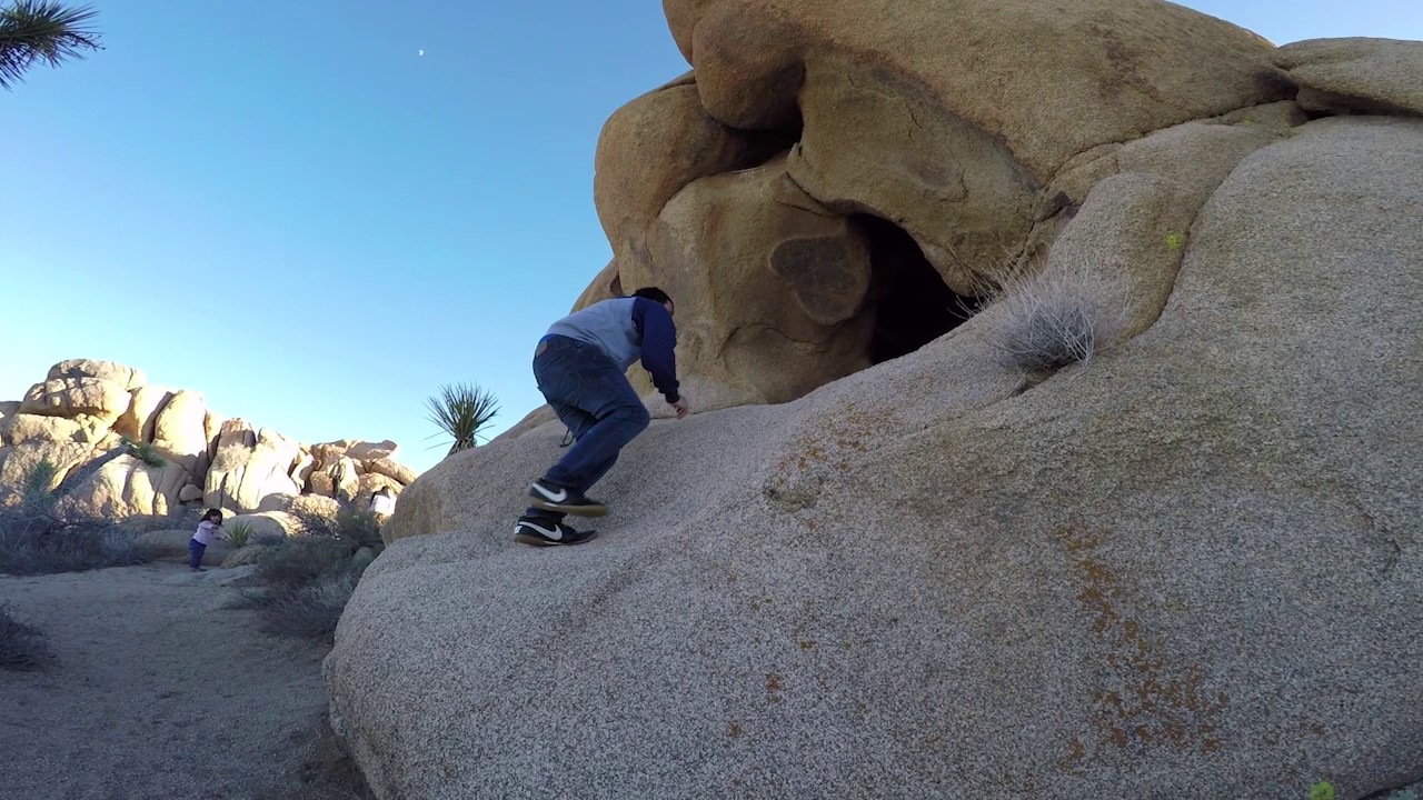 video phone beyonce mp3 Joshua Tree 2/4/17