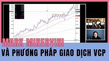 Phương pháp giao dịch VCP & Nguyên tắc vàng giúp MARK MINERVINI đánh bại THỊ TRƯỜNG