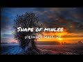 Shape of minlee - Ultimate Mash-up (music video)
