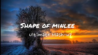 Shape of minlee - Ultimate Mash-up (music video)