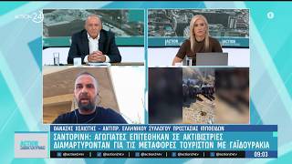 Αγωγιάτες επιτέθηκαν σε ακτιβίστριες που διαμαρτυρήθηκαν για τις μεταφορές τουριστών σε γαϊδουράκια